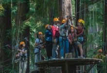 fraud oversight caller safety