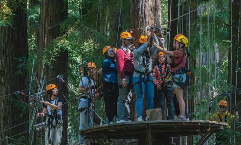 fraud oversight caller safety