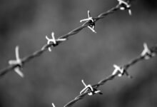 suspicious caller protection division