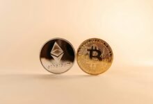 crypto pro network website