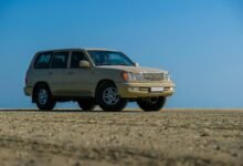 stable online model 2613960645