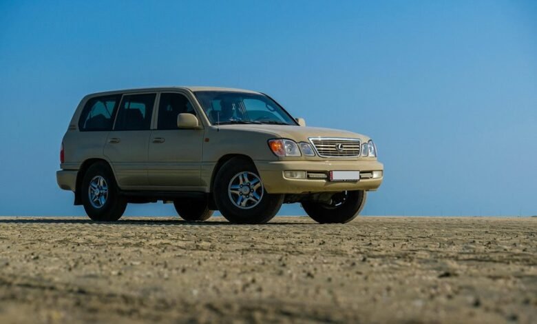 stable online model 2613960645